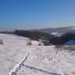 Zielono Mi *