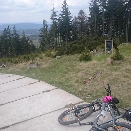 Zielono Mi...... * Jedlina-Zdroj