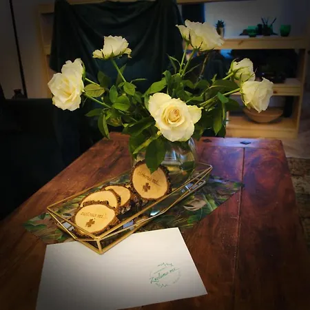 Apartament Zielono Mi...... Jedlina-Zdroj