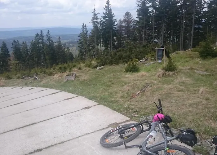 Zielono Mi * Jedlina-Zdroj