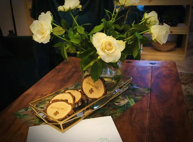 Apartmán Zielono Mi Jedlina-Zdroj