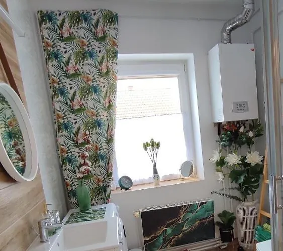 Zielono Mi Jedlina-Zdroj